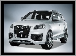 ABT, Audi Q7, Pakiet