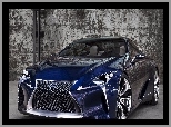 Lexus, LF-Itsv