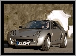 Smart Roadster, Szary